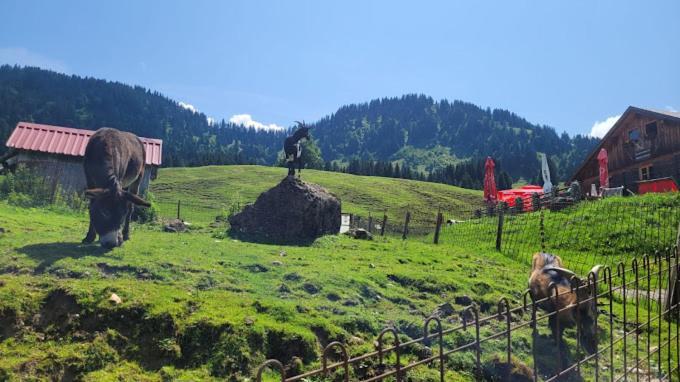 Jausenstation Neuschwand Villa Hittisau Esterno foto