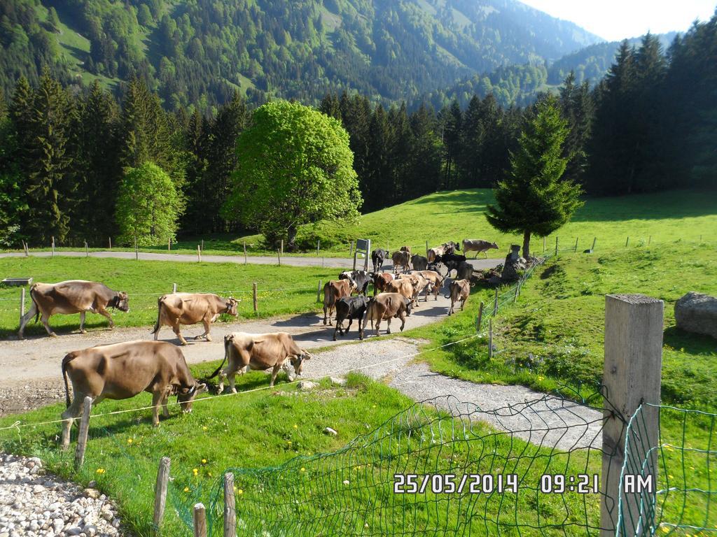 Jausenstation Neuschwand Villa Hittisau Esterno foto