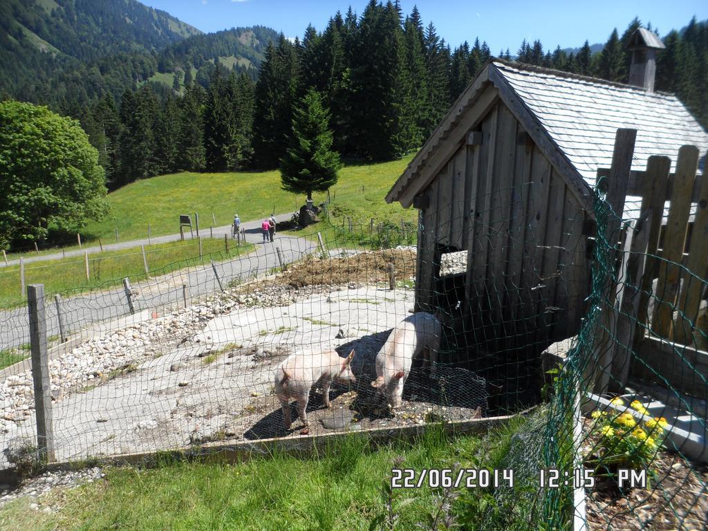 Jausenstation Neuschwand Villa Hittisau Esterno foto