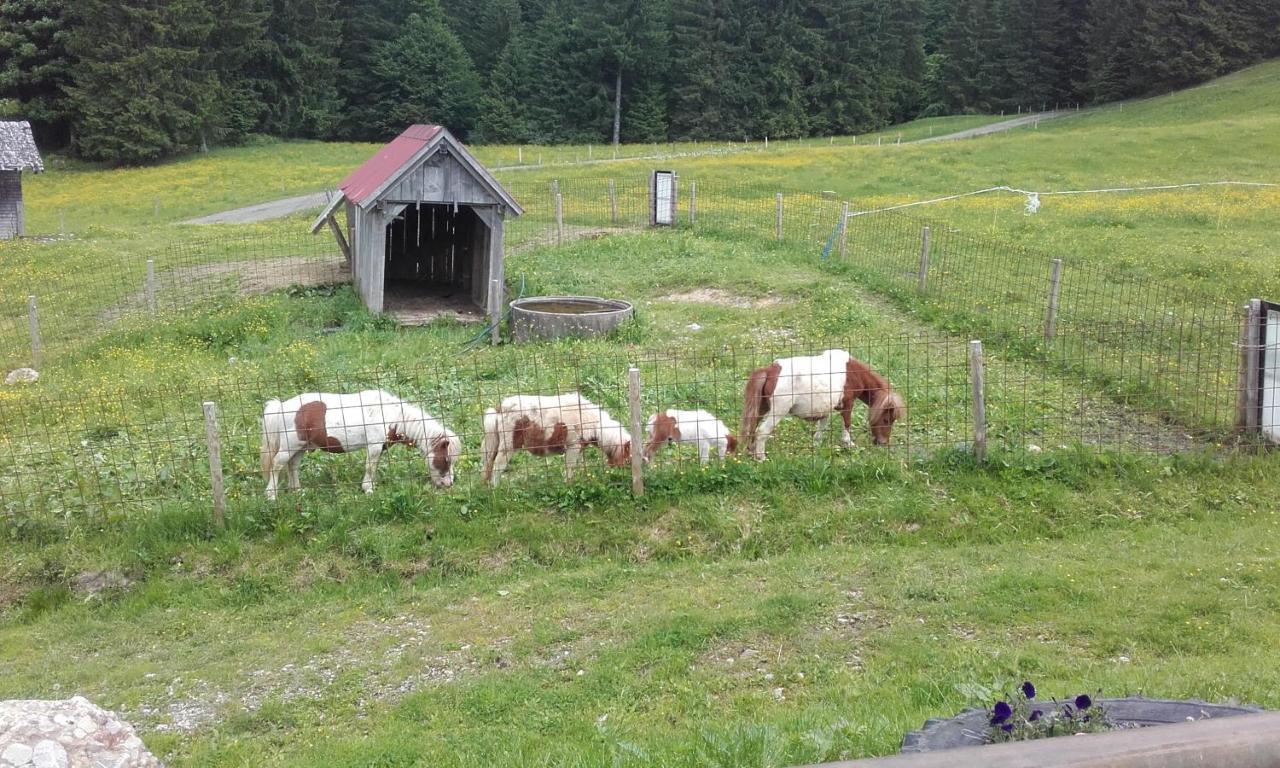 Jausenstation Neuschwand Villa Hittisau Esterno foto