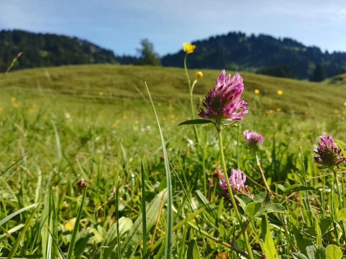 Jausenstation Neuschwand Villa Hittisau Esterno foto